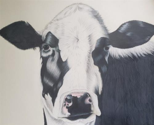 cow